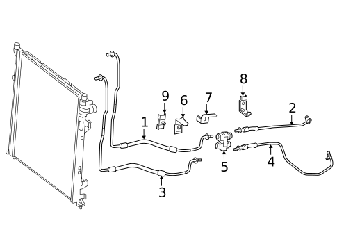 Diagram 4