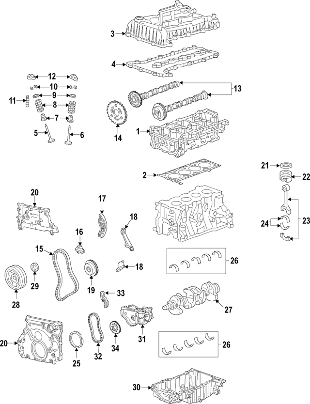55573876 - : Oil Pump Drive Chain for GM Image