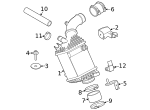 7129952131 - Belts &amp; Cooling: Inter-cooler Pipe Clamp for BMW Image