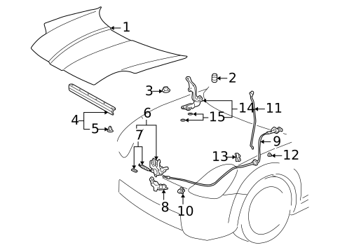 Hood & Components for 2002 Toyota MR2 Spyder #0