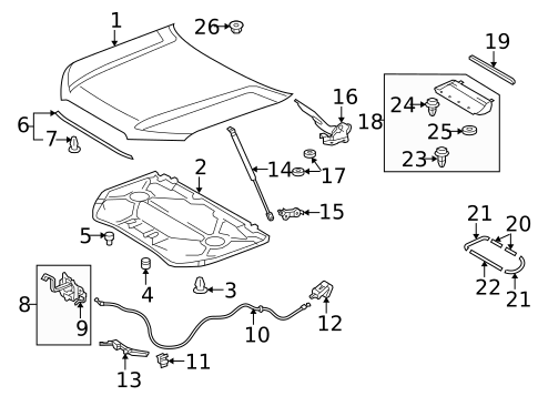 Hood & Components for 2019 Toyota 4Runner #0