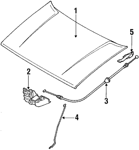 Hood & Components for 1992 Isuzu Pickup #0