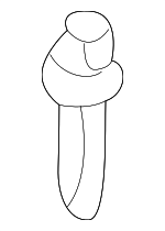 6861750010 - Body: Door Check Pin for Lexus: GS300, GS400, GS430, IS300, LS400, LX470, RX300 Image