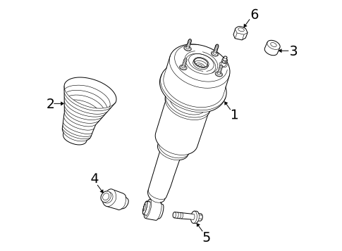 Struts & Components for 2009 Jaguar XJR #0