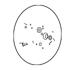 56111S9100ONT - Steering: Steering Wheel for Kia: Telluride Image