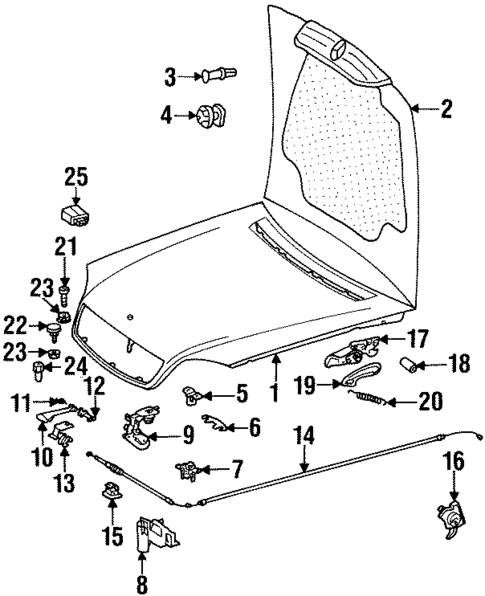 Hood & Components for 1998 Mercedes-Benz CL600 #0
