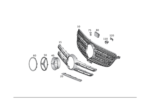 Radiator Grille for 2018 Mercedes-Benz GLE550e #0