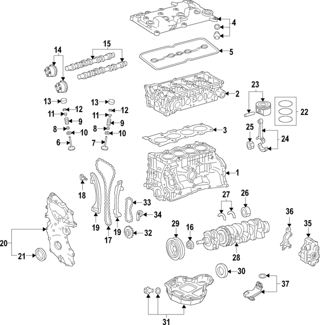 130285NA2A - : Timing Chain for Nissan: Altima Image