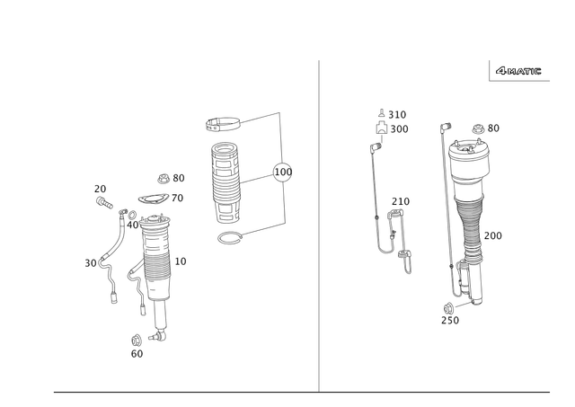 2213207913 - Springs, Suspension and Hydraulics: Suspension Strut for Mercedes-Benz: 250, 300S, CL550, CL600, S350, S400, S500, S550, S600 Image image