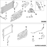 KM7937 - : Motorcraft™ Upper Hose for Ford: F-150 Image