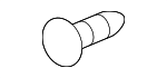 License Bracket Screw
