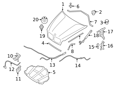 Hood & Components for 2013 BMW X6 #0