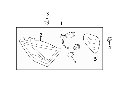 Bulbs - Chassis for 2011 Hyundai Sonata #4