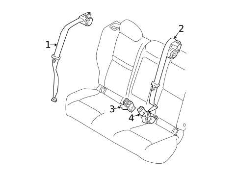 Rear Seat Belts for 2024 Nissan Sentra #0