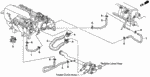 19528P28000 - : Hose B, Breather Heater for Honda Image