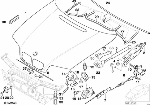 Hood for 2005 BMW 325Ci #0