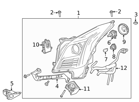Bulbs - Chassis for 2017 Cadillac XTS #0
