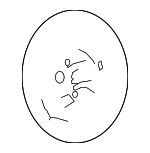 LR017035 - : 2005-2009 Land-Rover Steering Wheel for Land Rover: LR3, Range Rover Sport Image