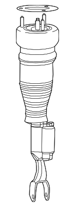 2173206001 - : Air Spring Strut for Mercedes-Benz Image