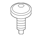 51162993604 - Body: Insert Screw for BMW Image
