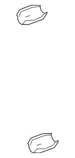 184450S010 - Exhaust: Converter Shield for Toyota: Sequoia, Tundra Image