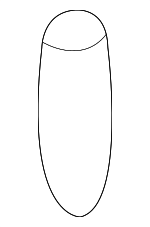 80438D0201 - Body: Door Check Pin for Nissan Image