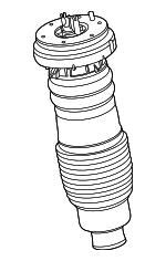 LC5Z3C199K - : Air Spring for Lincoln: Aviator Image