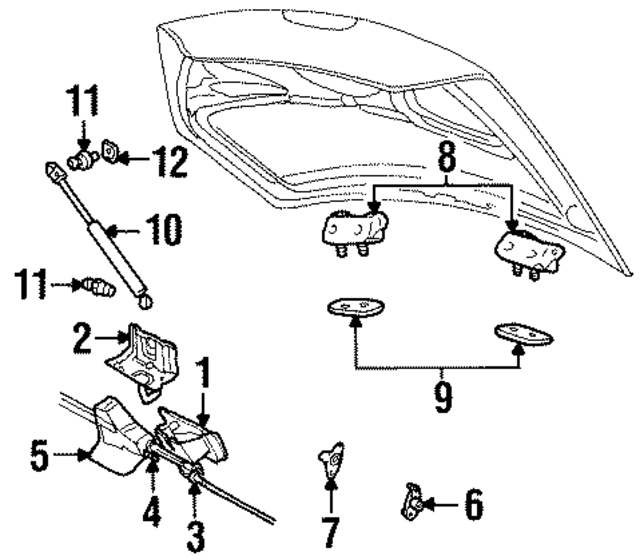 F8RZ63406A10AB - : Lift Assembly - Tailgate - Gas for Ford Image
