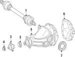 259970047 - Universals &amp; Rear Axle: Pinion Seal for Mercedes-Benz Image