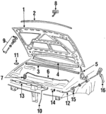 535823031A - Body: Hood for Volkswagen: Corrado Image
