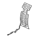 81524T20A21 - Body: Seat Back Heater for Honda: Civic, CR-V Image