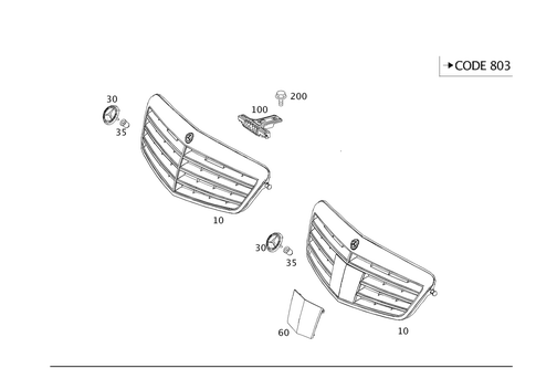Radiator Grille for 2009 Mercedes-Benz E63 AMG #0