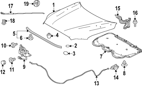 Hood & Components for 2024 Toyota Tacoma #0