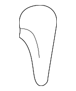 12552512 - Body: Shift Knob for Pontiac: Sunfire Image image