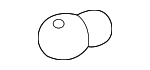 15828918 - Electrical: Bulb for GM Image
