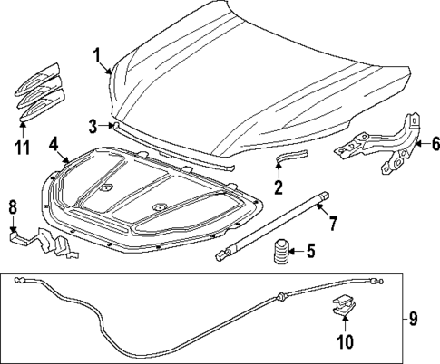 Hood & Components for 2024 Buick Envision #0