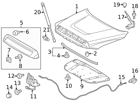 Hood & Components for 2018 Toyota Tundra #0
