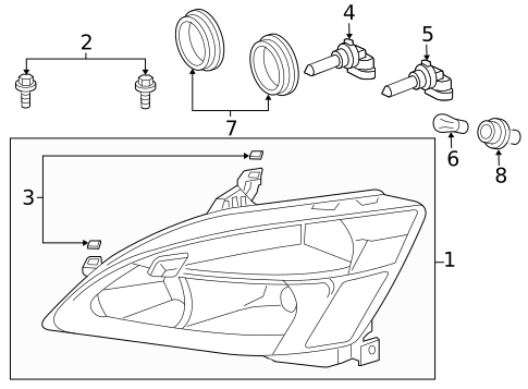 Bulbs - Chassis for 2005 Honda Accord #2