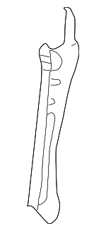 5321533050 - Cooling System: Latch Support for Toyota: Camry Image