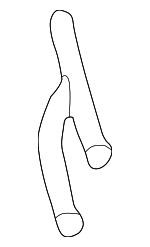 61671378625 - Electrical: Water Hose Assembly for BMW: 525i, 525iT, 530i, 535i, 540i, 735iL, 740i, 740iL, 750iL, 840Ci, 850Ci, 850CSi, 850i, M5, Z3 Image