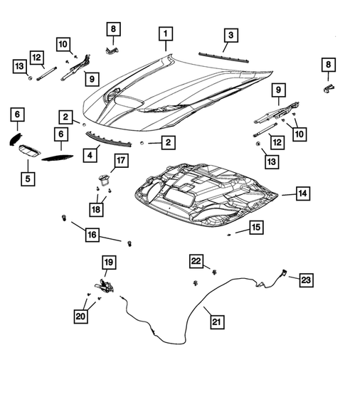 Hood and Hood Release for 2018 Dodge Charger #0