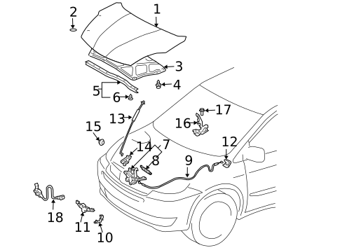 Hood & Components for 2005 Toyota Sienna #0