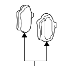 99735294907 - : Brake Pads for Porsche: 911 Image