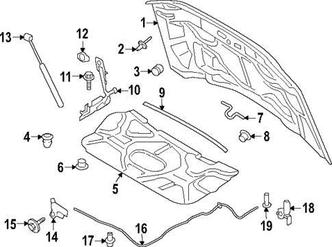 Hood & Components for 2023 Ford F-250 Super Duty #0