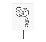 1W6Z76030A64AAA - Body: Support Bracket Retainer for FORD Image