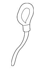 B26H683B0A - Body: Spare Tire Panel Strap for Mazda: Protege5 Image