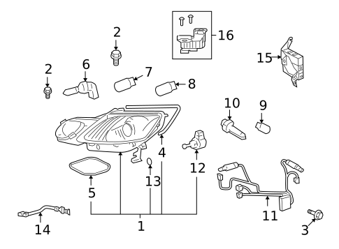 Bulbs - Chassis for 2011 Lexus GS450h #0