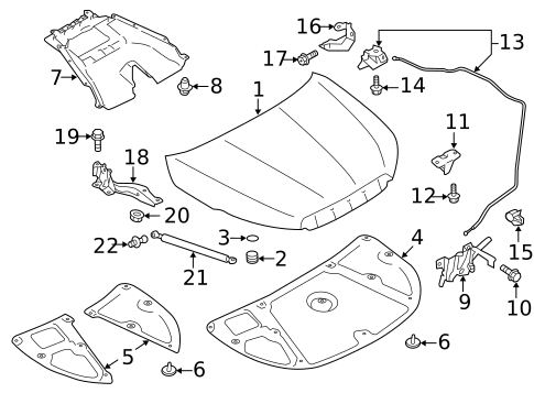 Hood & Components for 2018 Subaru Forester #0