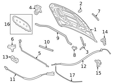 Hood & Components for 2021 Volkswagen Jetta #0