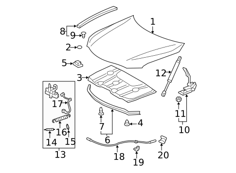 Hood & Components for 2007 Toyota Camry #0